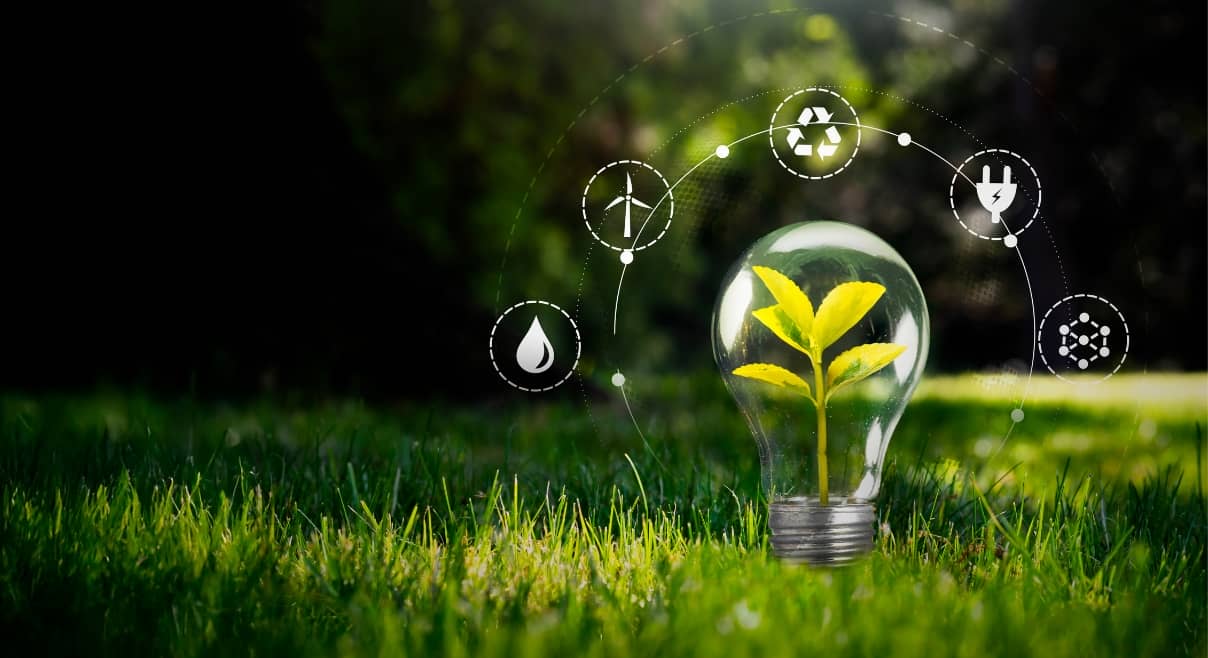 The DWS (Deutsche Bank) Fine and a Wake-Up Call on the Greenwashing “Trap”