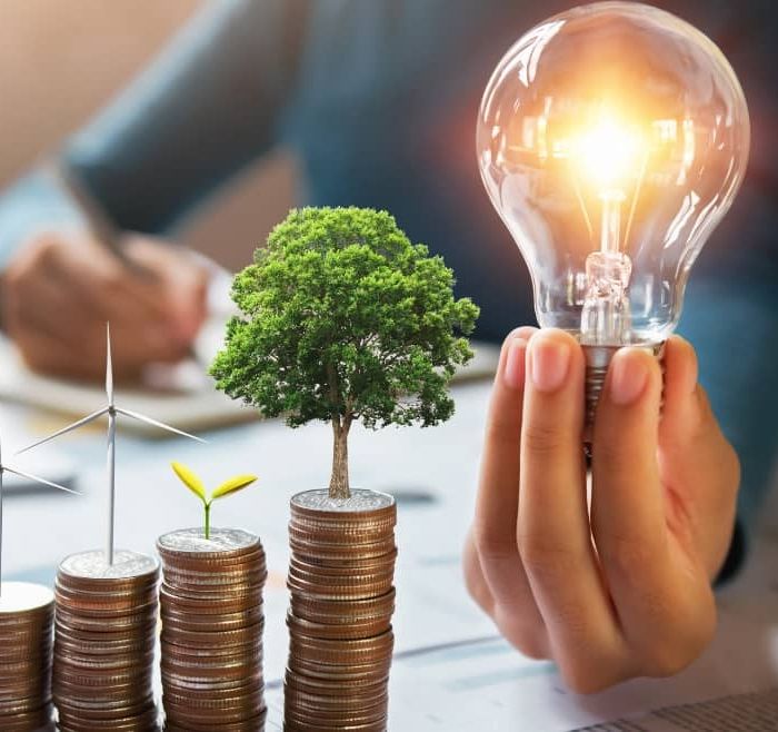 Việt Nam Ban Hành Danh Mục Phân Loại Xanh: “Hộ Chiếu” Để Tiếp Cận Dòng Vốn Tỷ Đô