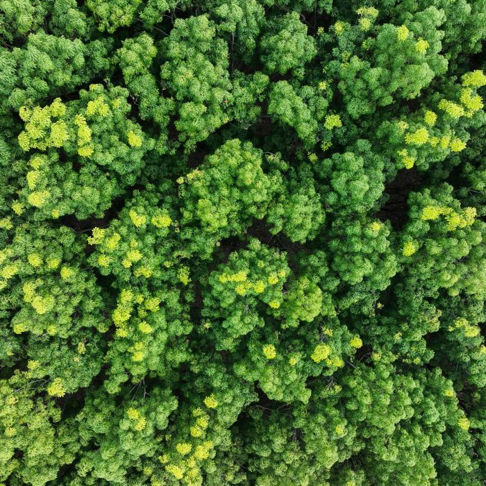 Doanh Nghiệp Nào Bắt Buộc Phải Lập Báo Cáo ESG?