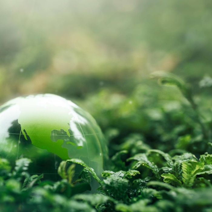 Quy Trình 6 Bước Lập Báo Cáo Phát Triển Bền Vững