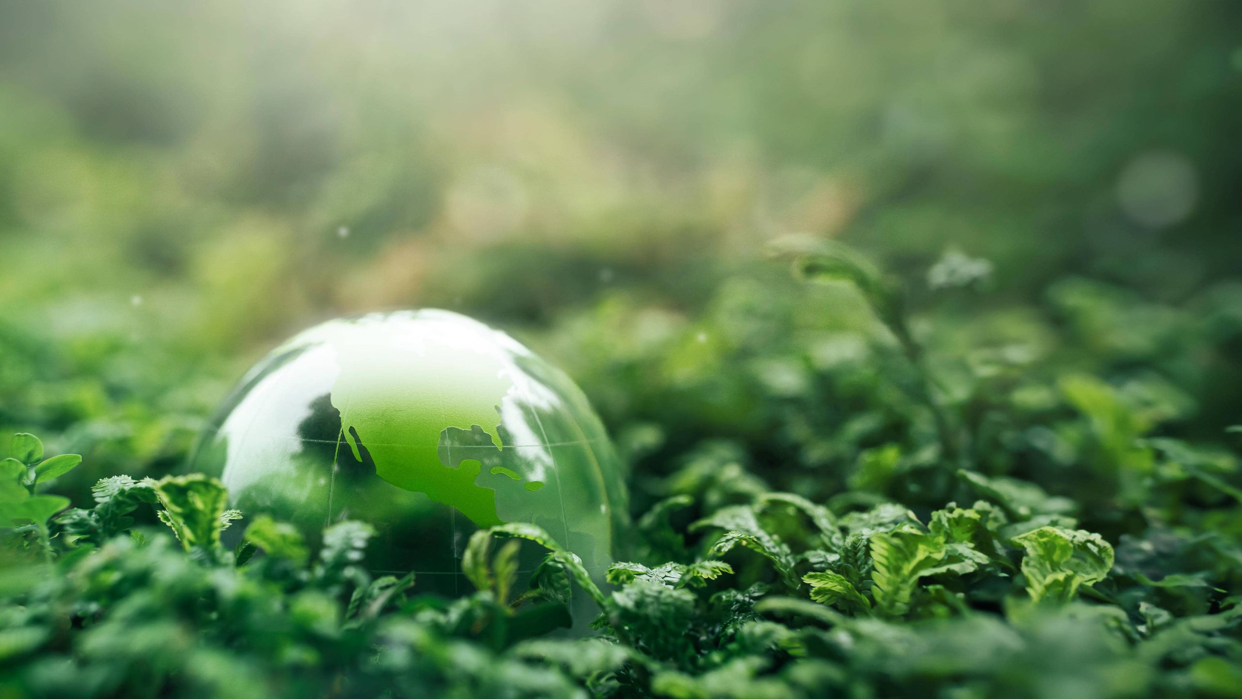 Quy Trình 6 Bước Lập Báo Cáo Phát Triển Bền Vững