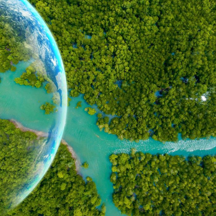 CBAM Chính Thức Vận Hành Giai Đoạn Tài Chính: Kỷ Nguyên Mới Cho Thương Mại Việt Nam – EU