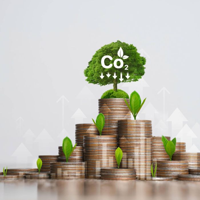 Vụ Phạt DWS (Deutsche Bank) Và Hồi Chuông Cảnh Tỉnh Về “Bẫy” Greenwashing